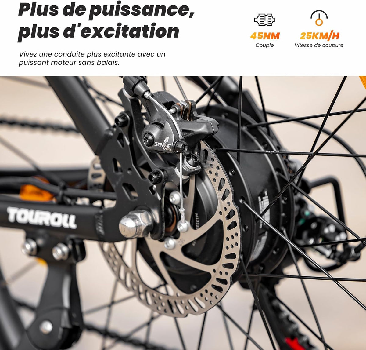 Touroll U1 Electric Bike, 26"/29" Electric Mountain Bike for Adults, 250 W Electric Mountain Bike, 13AH Removable Battery, Range 65 km, 21 Speed ​​E-Bike